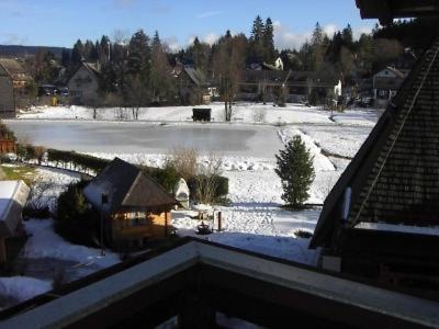 Gaestehaus Lickert Familie Dreher Hinterzarten Bagian luar foto