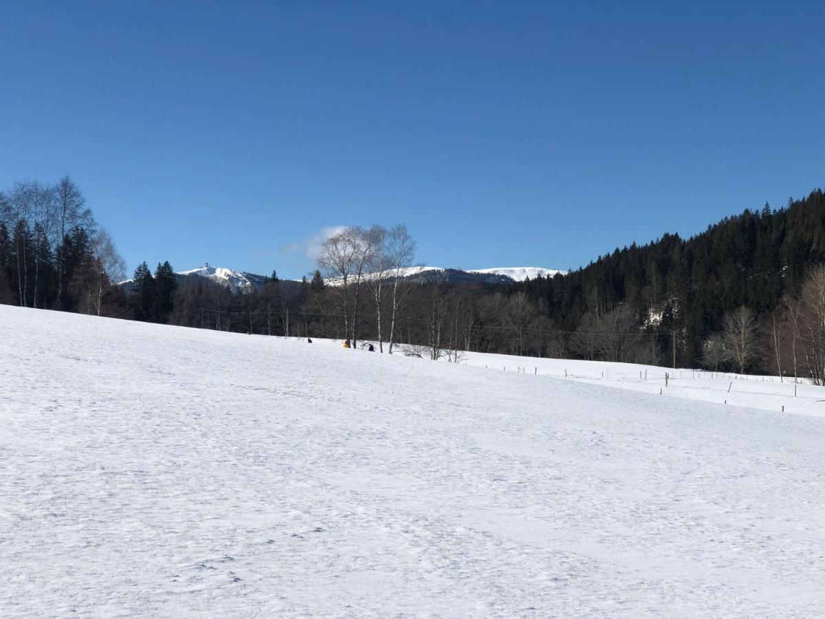 Gaestehaus Lickert Familie Dreher Hinterzarten Bagian luar foto